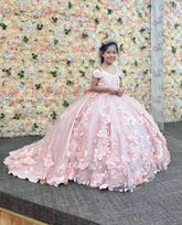 Little Princess Blush Pink Mini Quinceanera Dress for Girls