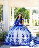 Royal Blue Quinceanera Dresses Princess Beaded Pearls Sweet 15 Dress 3D Flowers