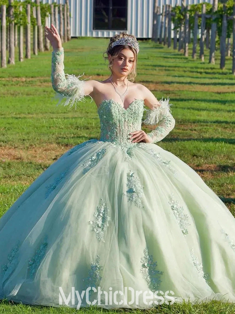 Sweet 16 Puffy Sage Green Quinceanera Dresses Lace with Feather Sleeves US14 / Custom color Sweet 16 Puffy Sage Green Quinceanera Dresses Lace with Feather Sleeves US14 / Custom color