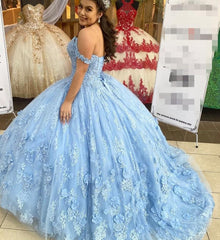 Ball Gown Light Blue Quinceanera Dresses 3D Flowers Lace Sweet 16 Dresses