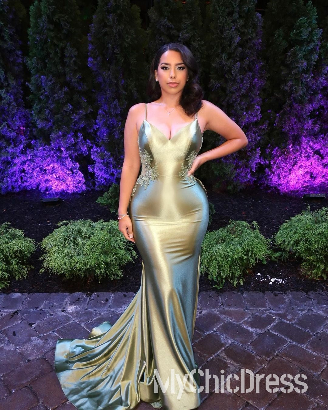 2025 V-neck Long Evening Dress Ice Blue Satin Appliques Mermaid