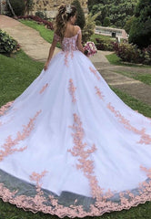 A-line Princess White Wedding Dresses Blush Lace Off the Shoulder