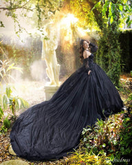 2025 Black Lace Sequin Sweet 15 Quinceanera Dresses With detachable sleeves - MyChicDress