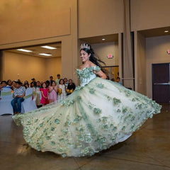 Plus Size Sage Green Sweet 16 Dress Quinceanera Dresses 3D Flower - MyChicDress