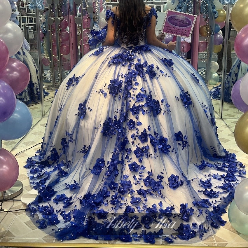 Princess Royal Blue Vestidos De 15 Quinceanera Dresses 3D Floral