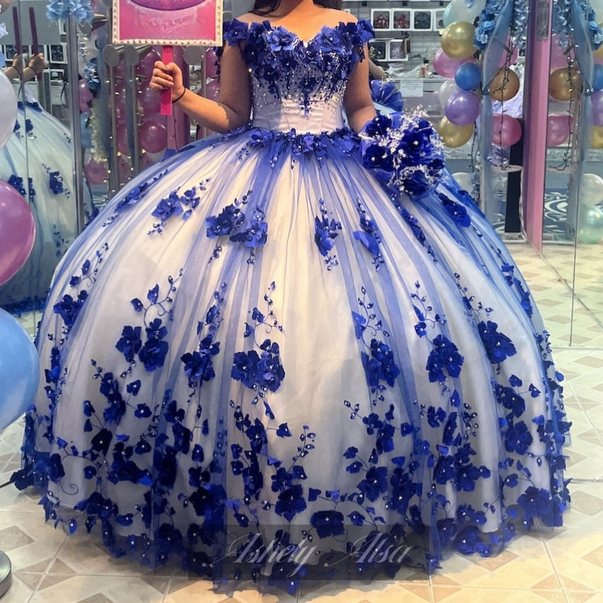 Princess Royal Blue Vestidos De 15 Quinceanera Dresses 3D Floral