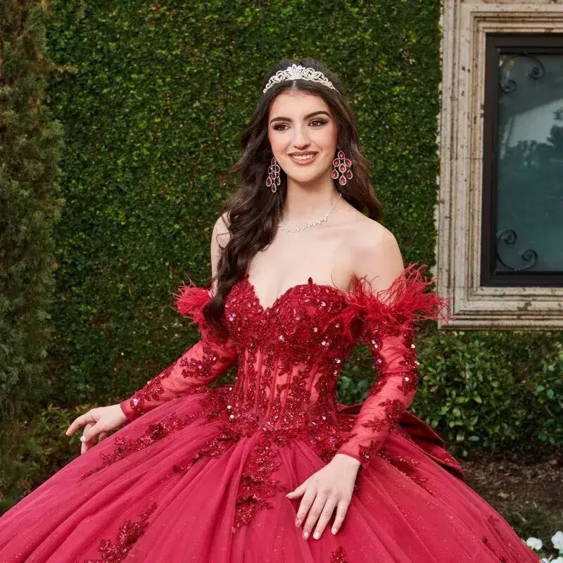 Dark Red Vestidos De 15 Anos Quinceanera Dresses with Sleeve Feather