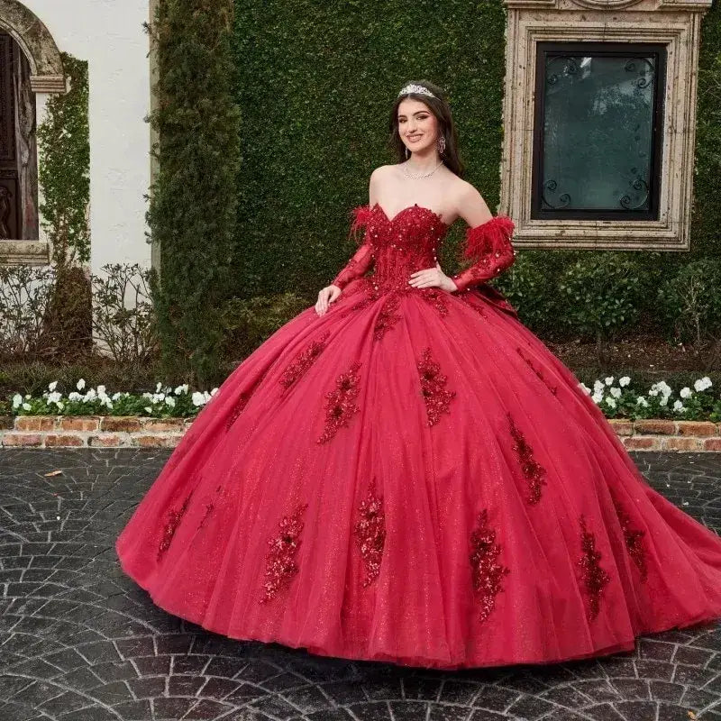 Dark Red Vestidos De 15 Anos Quinceanera Dresses with Sleeve Feather
