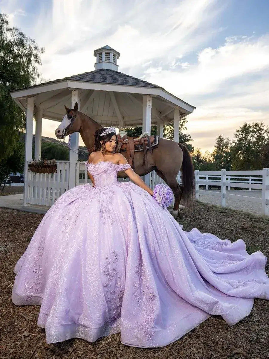 Ball Gowns lilac 15 Quince Dress Lace Princess Birthday Party XV Dress