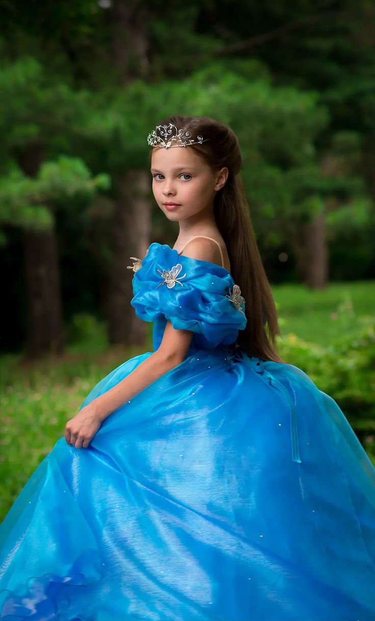 Princess Little Girl Dress Royal Blue Off the Shoulder Tulle Butterfly
