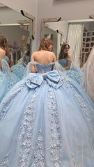 Light Blue Lace Quinceanera dress with bow 3D FLowers Sweet 16 ball gowns