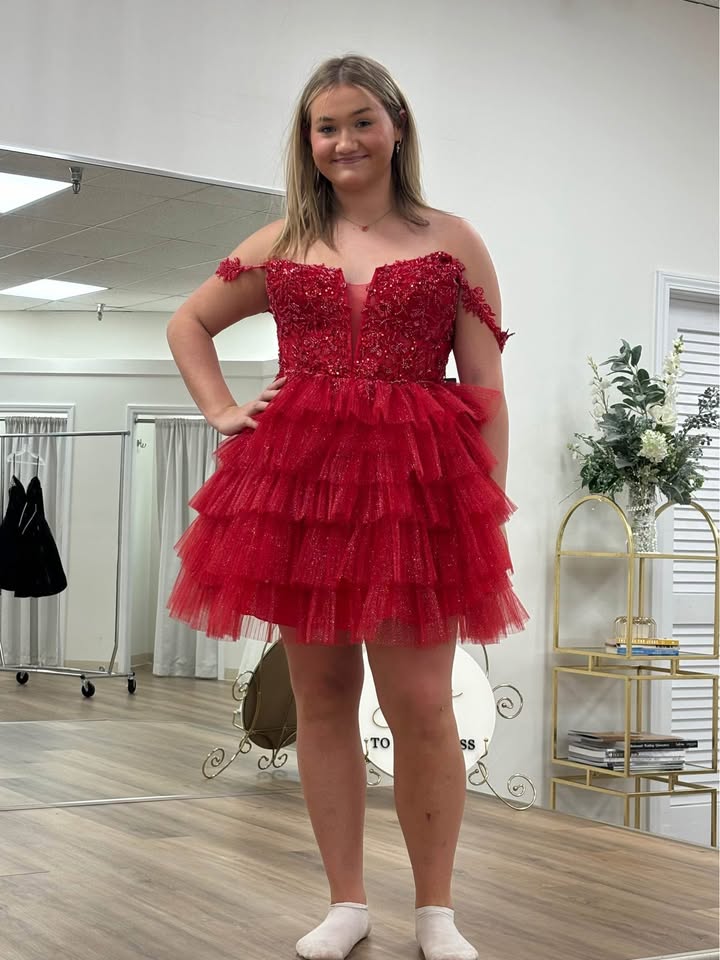 Plus Size Red Hoco Dress Lace Tulle Off the Shoulder Party Dress