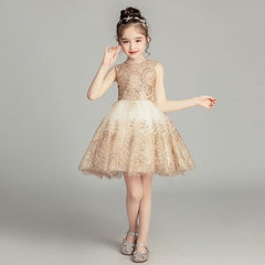 Shining Lace Appliques Beadings Ball Gown Flower Girl Dresses Pageant Dress