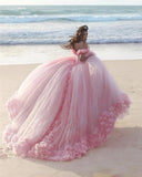 Off Shoulder Flowers Tulle Ball Gown Pink Quinceanera Dresses