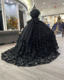 Ball Gown Lace Black Quinceañera Dress Off the Shoulder Wedding Dress Gothic