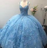 Ball Gown Light Blue Quinceanera Dresses 3D Flowers Lace Sweet 16 Dresses