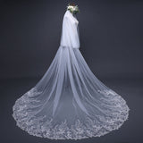 Elegant Tulle Lace Wedding Veils with Applique Sequined Edge 3MX3M