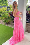 Lace Mermaid Pink Prom Dresses Long Sweetheart Formal Dresses Open Back